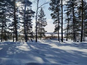  Коровина Ольга