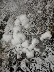  Важенина Татьяна