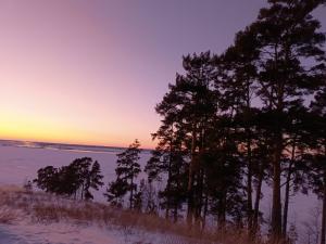  Дербина Алеся