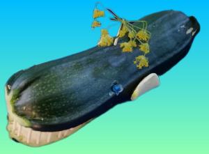  Сикиржицкий Артем, 8 лет, луговская школа