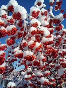  Важенина Татьяна