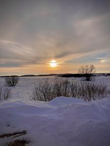  Игнатьева Мария