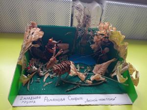  Романова София, 3 года, д/с 16