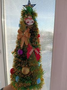   Токарева Ксения, 12 лет, петровская СОШ