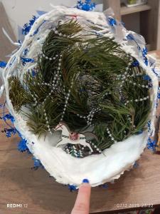  Карабельникова Александра, 6 лет, д/с № 10