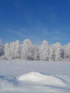  Кутабаева Екатерина