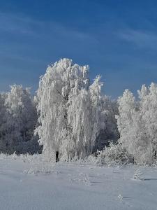  Останина София