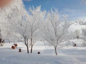  Альшина Полина