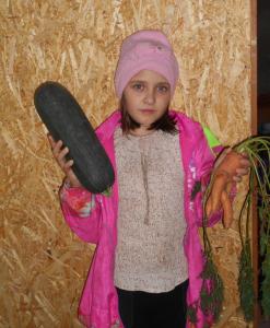  Арина Габайдулина, 9 лет, луговская школа, рук. Светлана Большакова