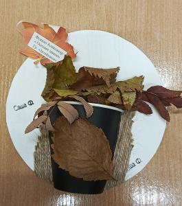  Фукало Александр, 5 лет, д/с 14