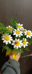 Володин Владимир, 7 лет, рождественская школа