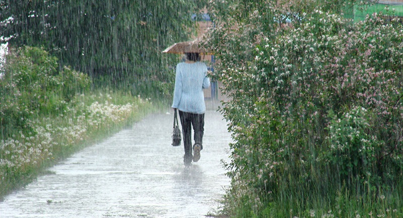 В Челябинской области сохранится дождливая и ветреная погода