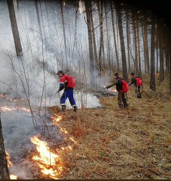 На территории Челябинской области продолжает действовать особый противопожарный режим