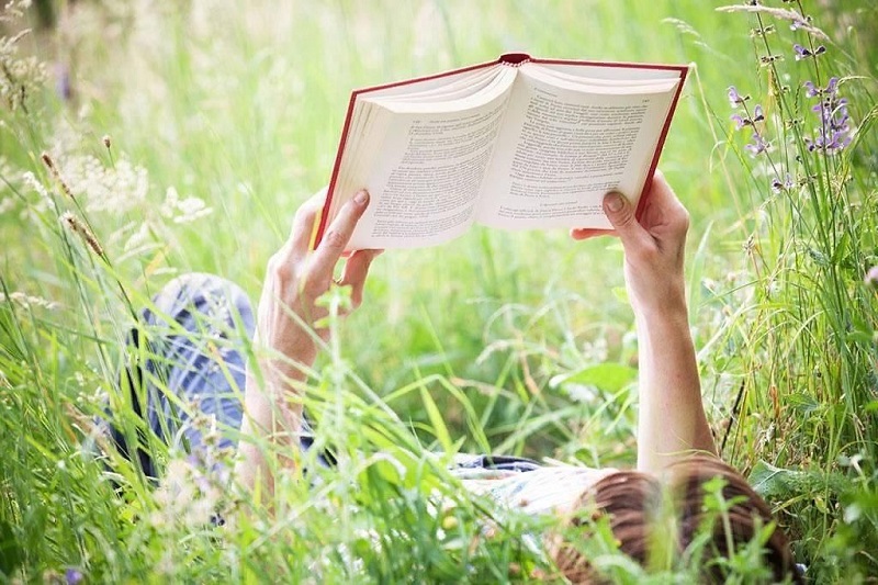 «Цветы для Элджернона» и «Хайди, или волшебная долина»: южноуральские учителя предложили альтернативный список книг на лето