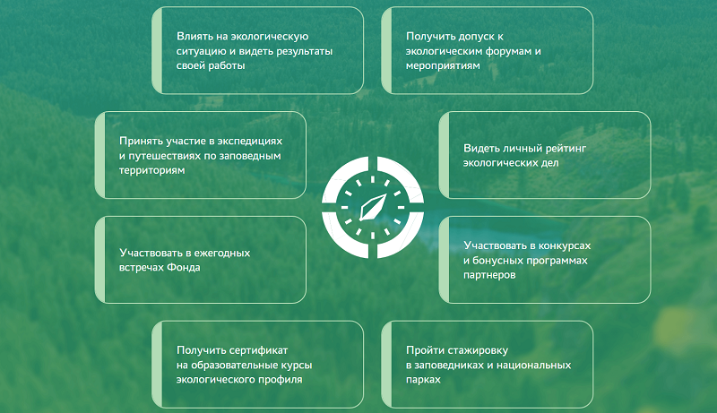  В России заработал первый фонд поддержки и развития экологических инициатив «Компас»