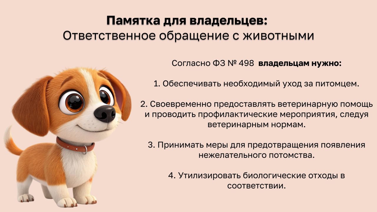Памятка для владельцев: ответственное обращение с животными