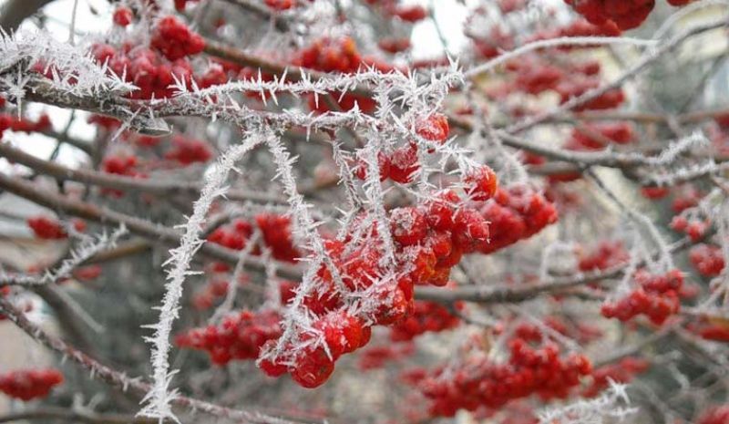 Синоптики рассказали, когда на Южный Урал придут морозы и снег
