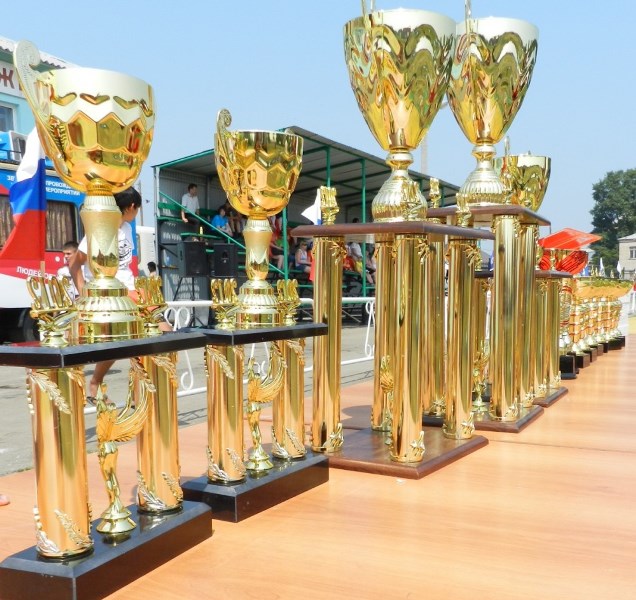 Увельчане стали призерами игр «Золотой колос»