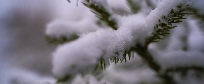 Южноуральцам обещают потепление и небольшой снег