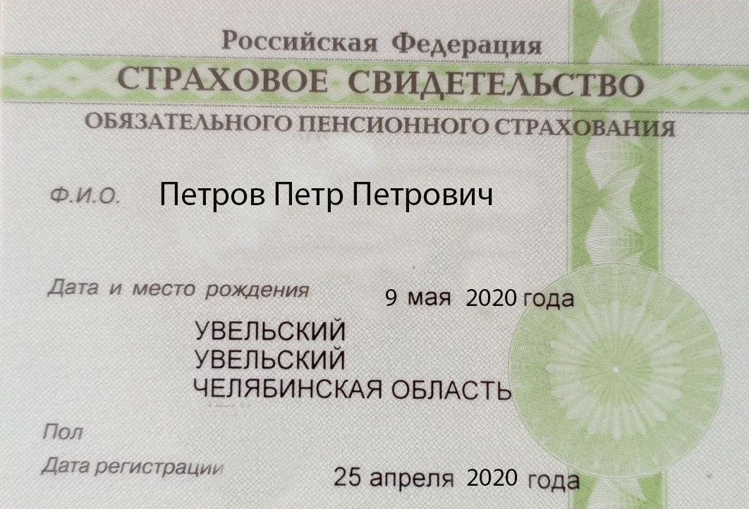 С начала года Отделение СФР по Челябинской области проактивно открыло 9500 СНИЛС детям