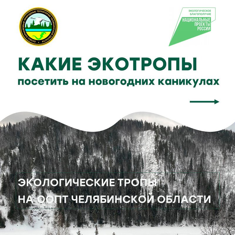 Новогодние каникулы – отличное время для путешествий!