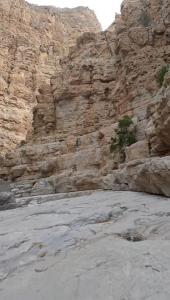 Увельчанка победительница ультратрейла в Объединенных Арабских Эмиратах