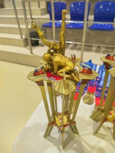 Выполнили норматив кандидата в мастера спорта