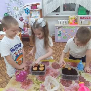 Как у детворы на грядке…