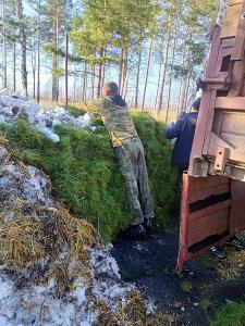 Увельский лесхоз передал саженцы для будущего леса