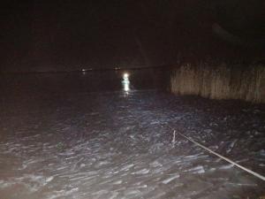 Увельские спасатели рассказали, как спасали лебедя