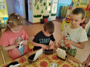 Как у детворы на грядке…