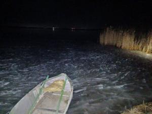 Увельские спасатели рассказали, как спасали лебедя