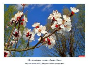 Подведены итоги районного фотоконкурса «Дыхание весны» 