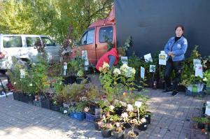 В Увельском дан старт сельскохозяйственной ярмарке