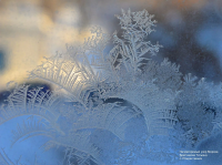 Корреспондент газеты «Настроение» в числе победителей муниципального фотоконкурса